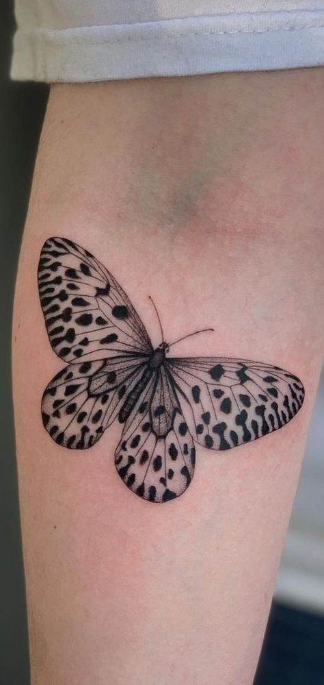 Butterfly Tattoo Under Elbow, Stipple Butterfly Tattoo, Spotted Butterfly Tattoo, Leopard Print Butterfly Tattoo, Zebra Butterfly Tattoo, Inner Elbow Butterfly Tattoo, Butterfly Cycle Tattoo, Realistic Butterfly Tattoo Designs, Elbow Butterfly Tattoo