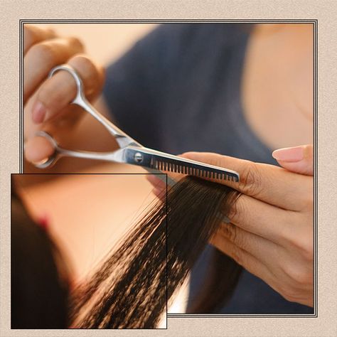 Ponytail Haircut, Hair Thinning Scissors, Point Cut, How To Cut Your Own Hair, Hair Shears, Thinning Shears, Diy Haircut, Editorial Hair, Hair Thinning