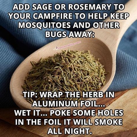 Image may contain: text that says 'ADD SAGE OR ROSEMARY TO YOUR CAMPFIRE TO HELP KEEP MOSQUITOES AND OTHER BUGS AWAY: #stomamaking.com TIP: WRAP THE HERB IN ALUMINUM FOIL... WET IT... POKE SOME HOLES IN THE FOIL IT WILL SMOKE ALL NIGHT.' Hydrangea Petiolaris, Natural Bug Repellent, Camping Hacks Diy, Astuces Diy, Bug Repellent, Camping Fun, Mosquito Repellent, Camping Outdoors, Camping Food