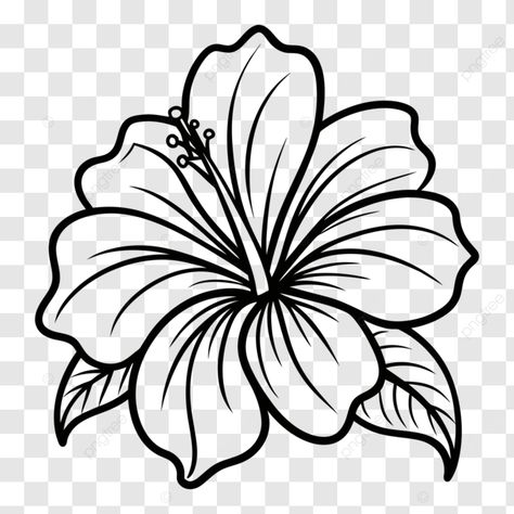 hand drawn hibiscus flower drawing illustration clip art colourful detailed png Different Flower Drawings, Hubiskis Flower Drawing, Easy Hibiscus Drawing, Hisbusic Flower Drawing, Flower Art Drawing Simple, Rose Pictures Drawing, Different Flowers Drawings, Leaf Border Drawing, Easy Drawings Flowers