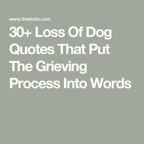 30+ Loss Of Dog Quotes That Put The Grieving Process Into Words Just A Dog Poem, Lost My Dog Quotes, Pet Remembrance Quotes, In Memory Of My Dog Quotes, New Dog After Losing One Quote, How To Deal With Pet Loss, All Dogs Go To Heaven Quotes Movie, Poem For Dog Passing, Dog Remembrance Quotes