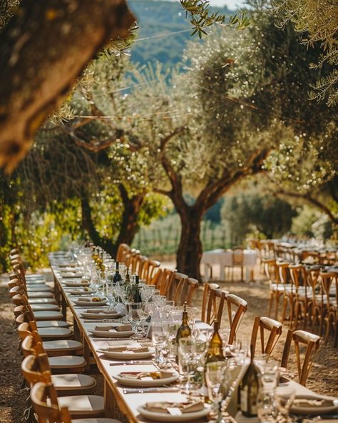 #magicalwedding #mysticalwedding #enchantingwedding #relaxedwedding #unpretentiouswedding #simplicityweddings #intimateweddings https://www.horraon.com/olive-grove-weddings/ Olive Trees Wedding Ceremony, Wedding In Olive Grove, Mallorca Photoshoot, Tree Wedding Ceremony, Wedding Dinner Decor, Abroad Wedding, Woman Inspiration, Olive Wedding, Dinner Decor