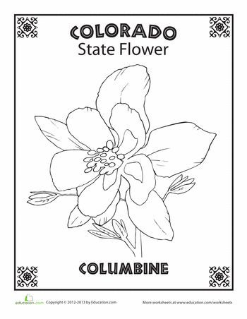 Worksheets: Colorado State Flower Colorado Themed Tattoos, Colorado Symbols, Flower Worksheet, Colorado State Flower, State Project, Arkansas Vacations, Colorado History, Denver Travel, Drawing Floral