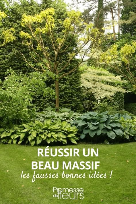 Réussir un beau massif les fausses bonnes idées Modern Gardens, Natural Garden, Apartment Garden, Modern Garden, Gardening Tips, Outdoor Gardens, Diy Decor, Herbs, Home And Garden