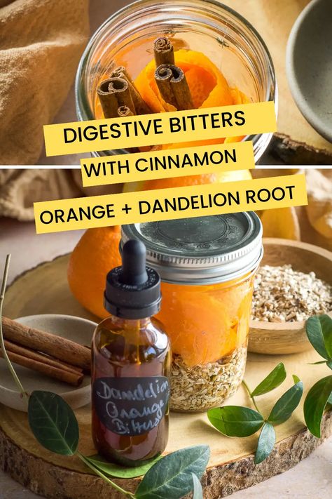 Digestive Bitters Recipes, Digestive Drinks, Herbal Bitters Recipe, Herbal Bitters, Homemade Bitters, Apothecary Remedies, Homemade Cold Remedies, Plant Remedies, Medicinal Herbs Remedies