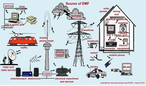 Check out the great articles on our website. #Health&Wellness #Articles #holisticchamberofcommerce #HCC #Holistic #HolisticHealing #HolisticHealth #Health #Wellness #WellBeing #HolisticProducts #HolisticServices #Business #Education #Community #Networking #BusinessBuilding #BusinessGrowth Electromagnetic Field, Electromagnetic Radiation, Orgone Energy, Radio Wave, Radiation Protection, Power Grid, Department Of Justice, Wireless Technology, New Technology