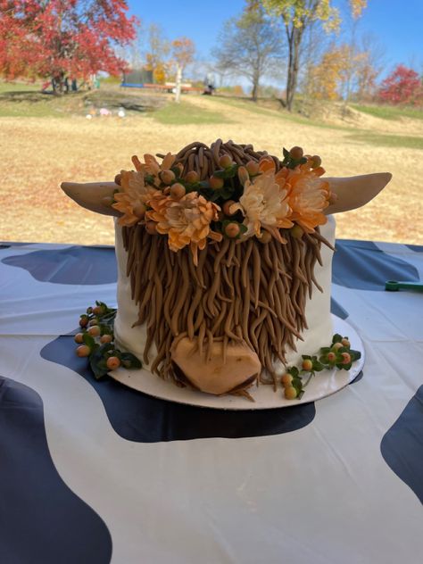 Highland Cow Cake And Cupcakes, Highland Cow Cake With Sunflowers, Highlands Cow Cake, Hi Land Cow Cake, Fluffy Cow Birthday Cake, Highlander Cow Smash Cake, Shaggy Cow Cake, Hiland Cow Birthday Party, Western Boho Graduation Party Ideas