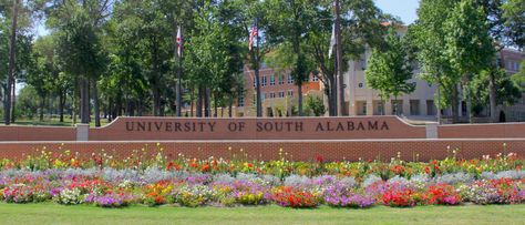 15 Reasons Why The University of South Alabama Is The Best Associates Degree In Nursing, University Of South Alabama, Alabama College, South Alabama, College Visit, College Search, Mobile Alabama, Scavenger Hunts, Dream School