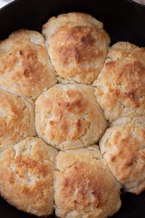 The Best Sourdough Discard Drop Biscuits Recipe - Lifestyle of a Foodie No Wait Sourdough Biscuits, Sour Dough Discard Drop Biscuits, Sourdough Biscuits Dairy Free, Sourdough Flaky Biscuits, Same Day Sourdough Biscuits, Sourdough Drop Biscuits Easy, Discard Scones Recipe, Sourdough Discard Busicuts, Sourdough Discard Biscuits Recipe