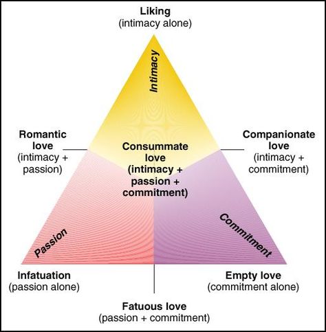 Triangular theory of love: Robert Sternberg’s categorization of love relationships into three facets: passion, intimacy and commitment. When arranged at points of a triangle, their combinations describe all different kinds of adult love relationships. Triangular Theory Of Love, Theory Of Love, Writing Characters, Interpersonal Relationship, Writers Write, Creating Characters, True Blood, Writing Resources, Writing Advice