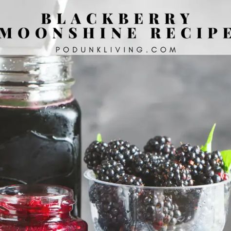 Blackberry Liqueur Recipes, Blackberries Growing, Blackberry Moonshine, Blackberry Brandy, Pear Wine, Brandy Recipe, Homemade Moonshine, Homemade Wine Recipes, Moonshine Recipe