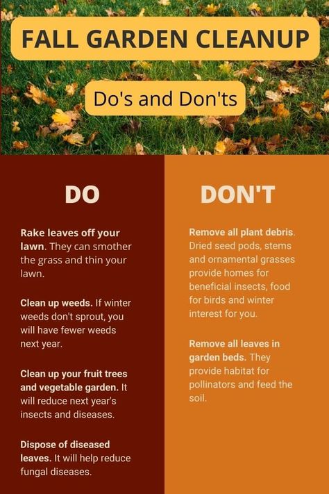 It’s autumn, and leaves are falling. You will have less work in your yard and garden next year if you take time this fall to do some cleanup. Allotment Planning, Yard Crashers, Homestead Layout, Herbal Witch, Yard Cleanup, Garden Prepping, Fall Clean Up, Fall Gardening, Plant Tips