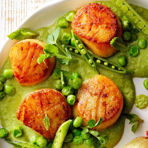 Scallops Pea Puree, Chick Fil A Chicken Nuggets, Mexican Stuffed Shells, Lenten Meals, Pea Puree, Chick Fil A Nuggets, Seafood Dinners, Seafood Meals, Chicken Nugget Recipes