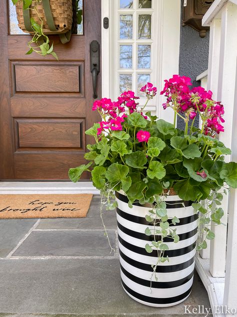 Black And White Pots For Plants Outdoor, Planter Ideas With Geraniums, Flower Pots With Geraniums, Pink Potted Plants Outdoor, Black And White Planters Diy, Black And White Pots For Plants, Small Porch Flower Ideas, Black And White Flower Pots, Planters With Geraniums