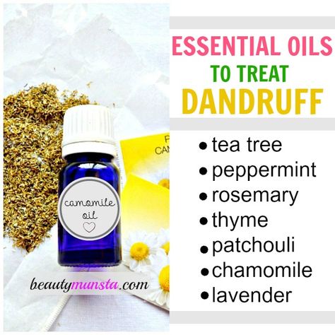 Using essential oils for dandruff is one of the best home remedies to treat, soothe & calm an itchy scalp as well as get rid of dandruff once and for all. Tea tree essential oil contains powerful antiseptic, antimicrobial and antibacterial properties that kill bacteria, yeast and germs that accumulate on the scalp and cause dandruff. Essential Oils For Dandruff, Treat Dandruff, Home Remedies For Dandruff, Oils For Dandruff, Rid Of Dandruff, Thick Hair Remedies, Dandruff Remedy, Getting Rid Of Dandruff, Essential Oils For Headaches