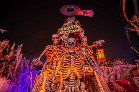 We’ve waited over a year, but finally, Knotts Scary Farm 2021 is back for an epic return. Since last years event was sadly canceled, you better believe Knotts Berry Farm is going to be better than ever with 15 haunted attractions, including five sinister scare zones, eight mesmerizing mazes, and two seasonal ride overlays to some […] Knotts Scary Farm, Watcher Entertainment, Haunted Maze, Scary Farm, New Nightmare, Haunted Attractions, Knotts Berry Farm, Berry Farm, Halloween Horror Nights