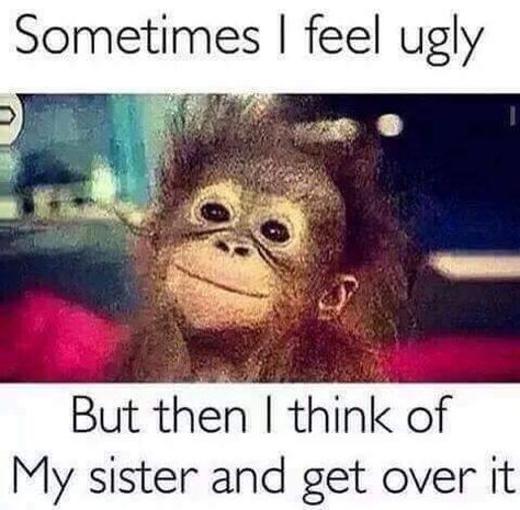 😂😂😂😆👍 Funny Sister Memes, Funny Sister Quotes, Sister Meme, Sister Jokes, Sister Things, Sibling Memes, Big Sister Quotes, Funny Sister, Feeling Ugly