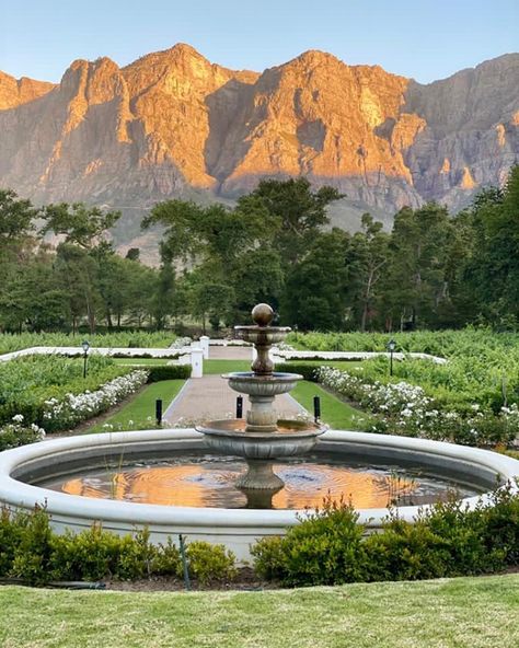 MolenVliet Vineyards on Instagram: “Molenvliet + Golden hour = 🤩😍⠀⠀⠀⠀⠀⠀⠀⠀⠀ Simply Heaven on Earth! ⠀⠀⠀⠀⠀⠀⠀⠀⠀ ⠀⠀⠀⠀⠀⠀⠀⠀⠀ #Stellenbosch #Drakenstein #StellenboschTravel…” Molenvliet Wedding, Stellenbosch Wedding, Afternoon Wedding, Late Afternoon, Vineyard Wedding, Heaven On Earth, Wedding Things, Small Wedding, Golden Hour