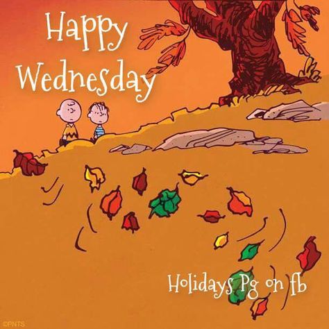 Charlie Brown Wednesday Quote charlie brown wednesday hump day wednesday quotes happy wednesday peanuts gang wednesday quote happy wednesday quotes Woodstock Peanuts, Good Morning Happy Saturday, Snoopy Quotes, Peanuts Christmas, Snoop Dog, The Peanuts, Happy Hump Day, Snoopy Love, Leaves Fall