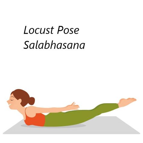 The Locust Pose is excellent for strengthening the back muscles, particularly the lower back. It also helps improve posture, increase flexibility in the spine, and tone the buttocks and legs. Additionally, it can stimulate the abdominal organs and improve digestion. Locust Pose, Increase Flexibility, Improve Posture, Back Muscles, Improve Digestion, Lower Back, Yoga Poses, Muscles, Yoga