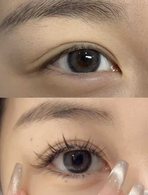 Lash Extensions Styles Natural Asian, Natural Manhwa Lashes, Manga Eyelashes Natural, Natural Manhua Lashes, Asian False Lashes, Chinese Eyelash Extensions, Asian False Eyelashes, Douyin Eyelash Extensions, Soft Manga Lashes