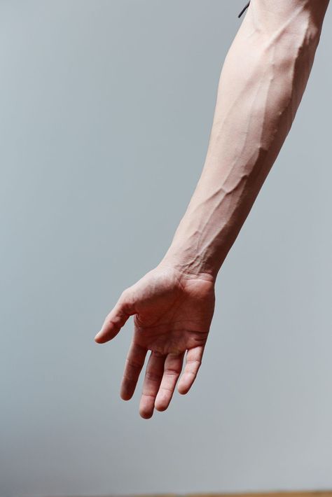 Hand Veins, Man Hand, Figurative Kunst, Hand Photography, Hand Drawing Reference, Photographie Portrait Inspiration, Body Photography, Reference Drawing, Hand Reference