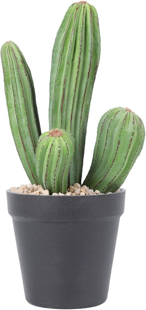 Amazon.com - Huisezing Artificial Cactus Fake Cacti 30" Faux Potted Cactus Plants for Home Store Office Decoration Giant Cactus Indoor, Fake Cactus Plants Decor, Artificial Cactus Decor, Pencil Cactus Indoor, Fake Cactus Plants, Fake Cactus, Artificial Cactus, Cactus Plant Pots, Cactus Pot