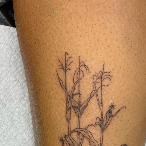 Sam lott on Instagram: "Some Corn stalks from yesterday for all those proud Midwesterners out there. #corntattoo #midwesttattoo #finelinetattoo #finelineartist #freedominktattoos #midwestpride #tattoo" Cornstalk Tattoo, Corn On The Cob Tattoo, Corn Stalk Tattoo, Corn Tattoo, Sister Tats, Corn Grain, Basic Tattoos, Corn Stalks, Dainty Tattoos