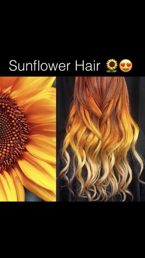 Sunflower Ombre Hair, August Hair Color Ideas, Sunflower Hair Color Ombre, Sunflower Hair Color, Sunrise Hair, Orange Ombre Hair, Exotic Hair Color, Sunflower Hair, Fire Hair