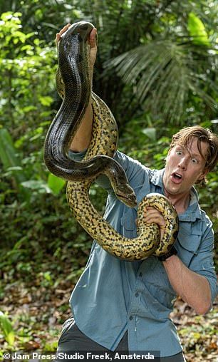 World's biggest snake is discovered in the Amazon rainforest World Biggest Snake, World's Largest Snake, Giant Anaconda, Green Anaconda, Loma Linda University, Giant Snake, Largest Snake, Car Tyre, The Amazon Rainforest