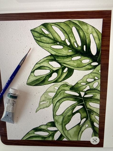 Monstera Adansonii, Green Planet, Diy Watercolor Painting, Leaf Wall, Watercolor Flower Art, 수채화 그림, Plant Painting, Young Professional, Plant Drawing