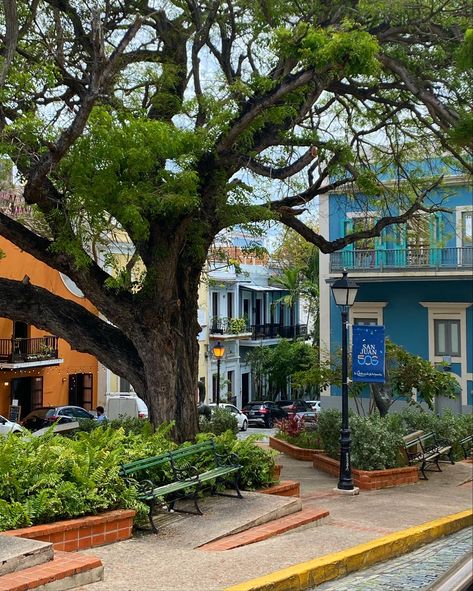 Puerto Rico Spring Break, Old San Juan Puerto Rico Aesthetic, Puerto Rico Aesthetic, Puerto Rico Trip, Puerto Rico Vacation, Puerto Rico Art, Puerto Rico History, Puerto Rican Culture, San Juan Puerto Rico