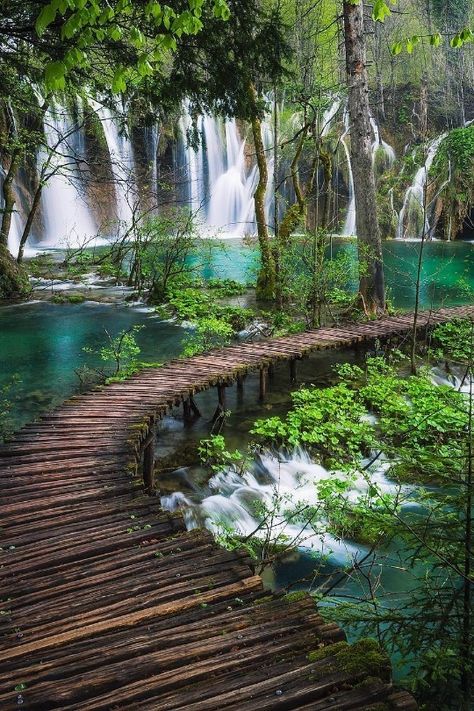 Plitvice National Park, Plitvice Lakes National Park, Lake Photos, Plitvice Lakes, Destination Voyage, Nature Adventure, Beautiful Places Nature, Beautiful Places To Travel, Nature Landscape