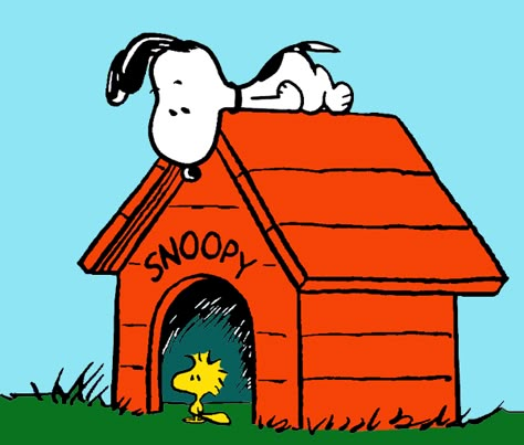 Snoopy Laying On Dog House, Cartoon Dog House, Peanuts Cartoon Characters, Snoopy Sleeping, Charlie Brown Wallpaper, Snoopy Tattoo, Snoopy Dog House, Woodstock Snoopy, Iphone Wallpaper Photography