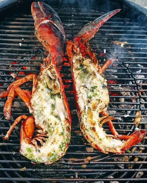 Now I just need some butter! Courtesy of @vertsmoke  TBT to those lovely lobsters  Are you a tail or claw kind of person? ...... : @vertsmoke : @lobsteranywhere : @cowboycharcoal ...... . . . . . . . . . . #FireCookEat #cookingoutdoors #cookingoutside #cookingwithfire #firecooking #outdoorchef #outdoorcook #outdoorcookingrocks #outsidecooking #outdoorcookin  #grilledlobster #grilling #asado #parrilla #lobsterroll #grilledfood #grilllingtime #grillingout #grillings #grillout #paleomg #paleochef # Bbq Lobster, How To Prepare Lobster, Cooking Lobster, Grilled Lobster Tail, Lobster Fishing, Live Lobster, Grilled Lobster, How To Cook Lobster, Lobster Meat