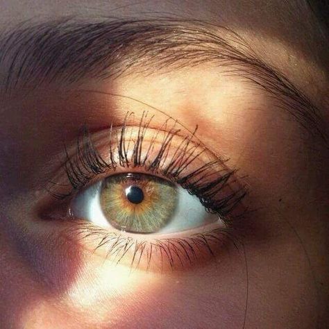 Pretty Eyes Color, Hazel Green Eyes, Beautiful Eyes Color, Hazel Green, Eyes Beautiful, Photographie Portrait Inspiration, Eye Photography, Aesthetic Eyes, Hazel Eyes