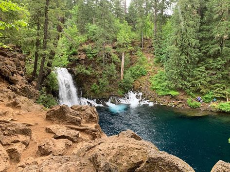 Cool off this summer with a visit to these seven Oregon waterfalls, all of which offer refreshing waters and resplendent scenery. Oregon Trip, Dry River, Oregon Waterfalls, Refreshing Water, Multnomah Falls, River Bed, Blue Pool, River Trail, River Falls