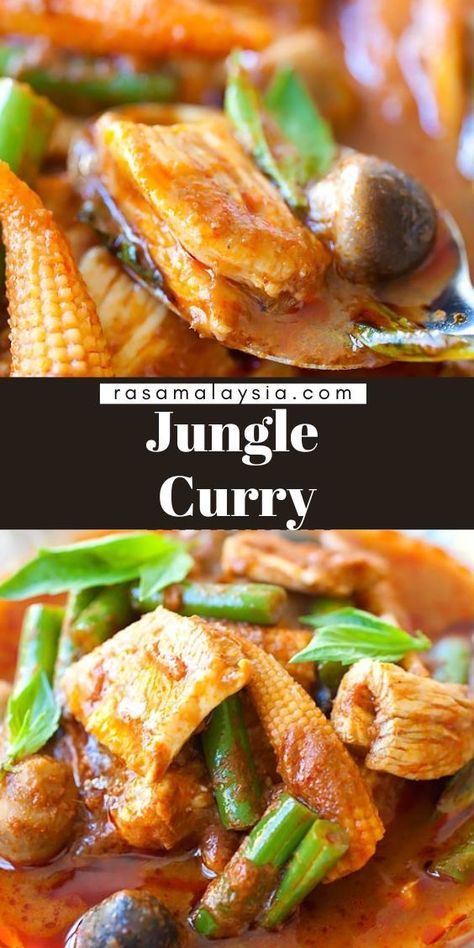 Jungle Curry - a popular Thai curry, jungle curry is spicy and made with no coconut milk. You can make pork or chicken jungle curry with this easy recipe. Jungle Curry, Asian Noodle Dishes, Asian Side Dishes, Mongolian Beef Recipes, Fish Curry Recipe, Rasa Malaysia, Takeout Food, Family Friendly Dinners, Easy Chinese Recipes