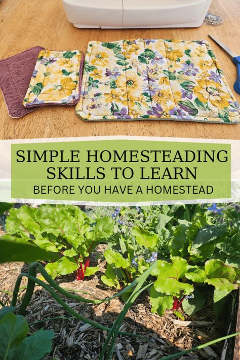 Here is a list of 11 homesteading skills you should start learning before you own a homestead. You can learn these skills wherever you live! Homestead Skills List, Homestead On A Budget, What Is Homesteading, Beginning Homesteading, Homesteading Skills To Learn, Home Steading For Beginners, Homesteading In An Apartment, Homesteading For Beginners Small Spaces, Homestead Hobbies