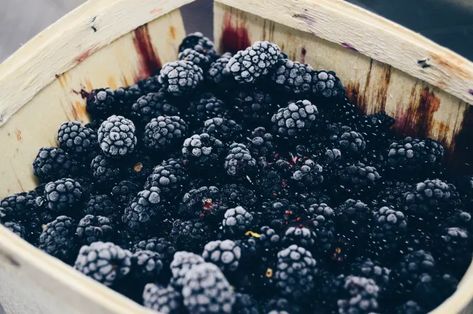 How to Wash and Clean Blackberries After Picking - Delishably Benefits Of Berries, Growing Blackberries, Fertility Foods, Blackberry Cobbler, Liqueurs Recipes, Blackberry Jam, Fruit Scent, Human Food, Scone Recipe