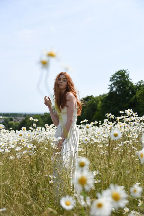 Daisy field Bridal photo shoot for Lucys Magazine Daisy Photoshoot, Meadow Photoshoot, Flower Shoot, Bridal Photo Shoot, Field Of Daisies, Field Photoshoot, Photography Moodboard, Summer Field, Summer Shoot