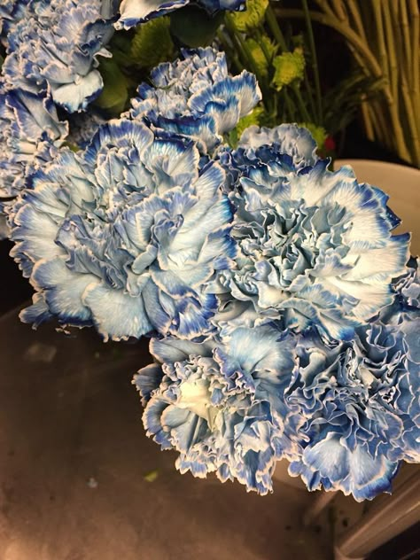 Flowers Aesthetic Blue, Blue Flower Girls Dresses, Blue Flowers Aesthetic, Aesthetic Blue Flowers, Gardens For Beginners, Flower Garden Design Ideas, Garden Design Flowers, Blue Flower Bouquet, Blue Flower Girl Dress