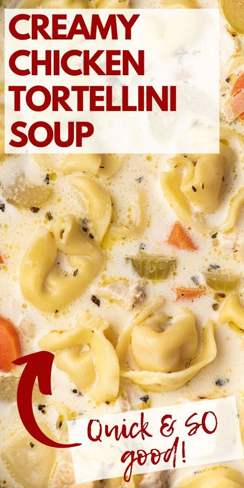 Creamy Chicken Tortellini Soup, Creamy Chicken Tortellini, Cheese Tortellini Soup, Cheese Tortellini Recipes, Cheesy Tortellini, Creamy Tortellini Soup, Chicken Tortellini Soup, Recipe Using Chicken, Chicken Tortellini