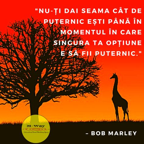 Fii Puternic, Social Media Strategist, Business Networking, Community Manager, Be Strong, Bob Marley, Instagram Marketing, Inspirational Women, Dream Big