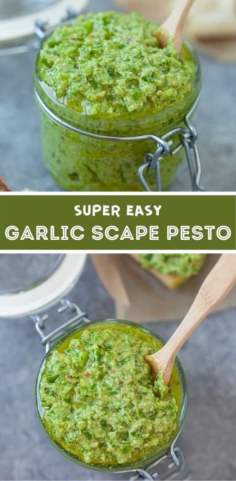 Garlic Scape Pesto Recipes, Garlic Scapes Recipes, Scape Pesto Recipe, Scape Recipes, Scape Pesto, Garlic Scape Pesto, Pasta Veggies, Modern Homestead, Garlic Scapes