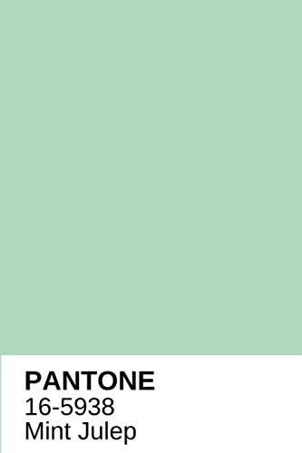 pantone 16-5938 mint Julep is one of the trendiest color of this year 2022 Mint Pantone, Childcare Website, Shades Of Mint Green, Mint Color Palettes, Mint Green Paints, Mint Room, Mint Rooms, Bakery Design Interior, Pantone Palette