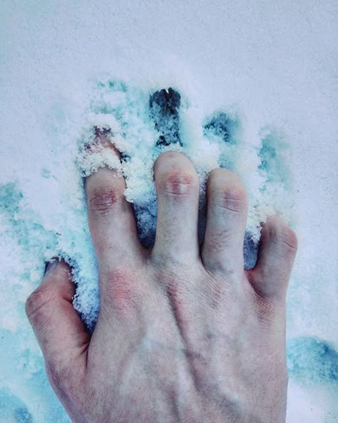 Too cold ___ #photography #photo #nature #light #snow #white #hand #bruise #hurt #tumblr Cold Hands Aesthetic, Le Cri, House Stark, The Guardians, Cold Hands, Six Of Crows, Throne Of Glass, Jack Frost, Ravenclaw