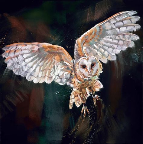 Field Paintings, Owl Flying, Run Art, Flying Owl, Owl Wings, Owl Artwork, Wildlife Artwork, Night Flight, Owl Painting