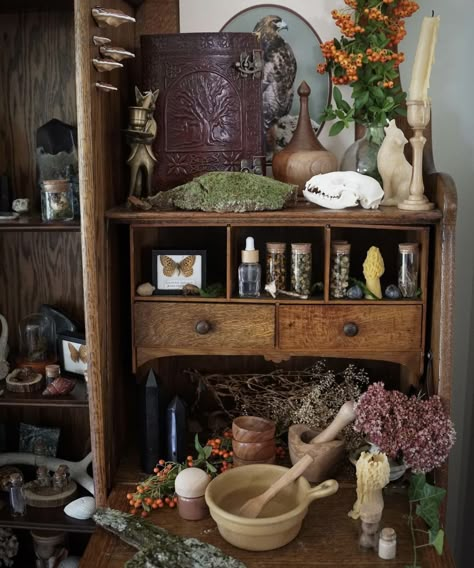 Witch Herb Storage Ideas, Witch Apothecary Aesthetic, Apothecary Office, Goblincore Aesthetic Room, Witchy Cabinet, Cottage Core Interior, Herb Jars, Practical Magic House, Witchy Cottage