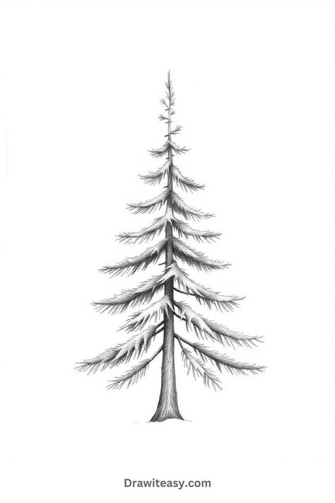 A tall, thin, pencil-drawn pine tree with evenly spaced branches, capturing a serene and minimalist aesthetic. Simple Aesthetic Drawing Ideas, Simple Aesthetic Drawing, Cute Aesthetic Drawing Ideas, Tree Pencil Sketch, Aesthetic Drawing Ideas, Tree Drawing Simple, Pine Tree Drawing, Drawings For Beginners, Simple Sketches